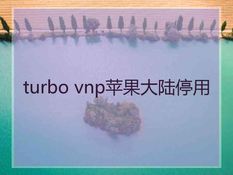 turbo vnp苹果大陆停用