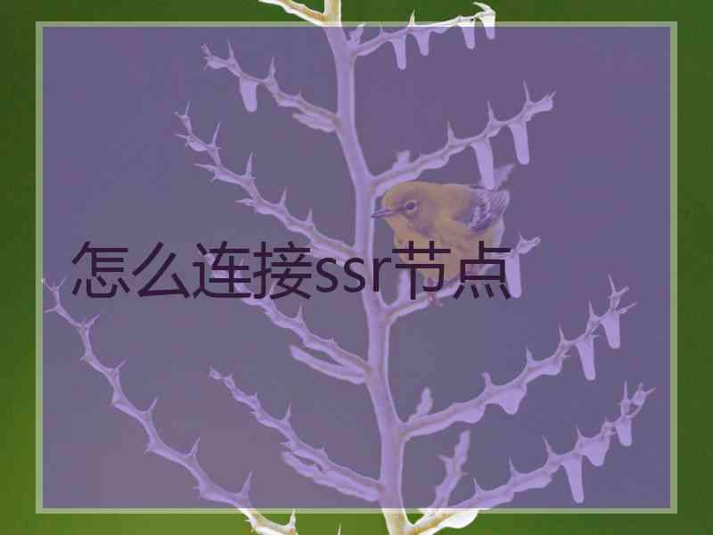 怎么连接ssr节点