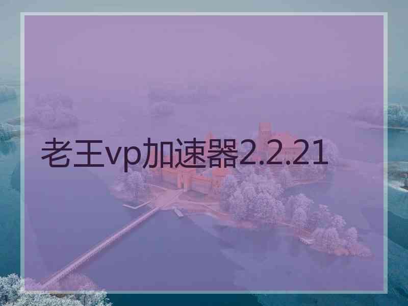 老王vp加速器2.2.21