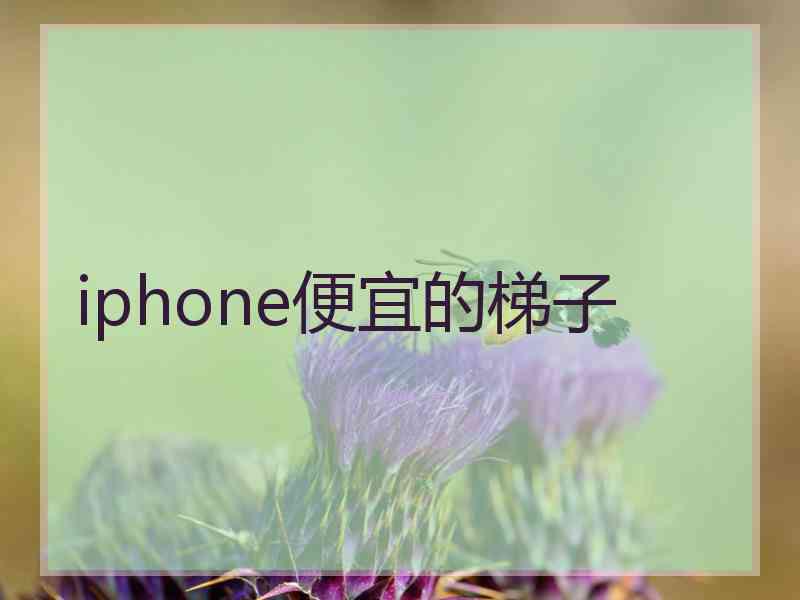 iphone便宜的梯子