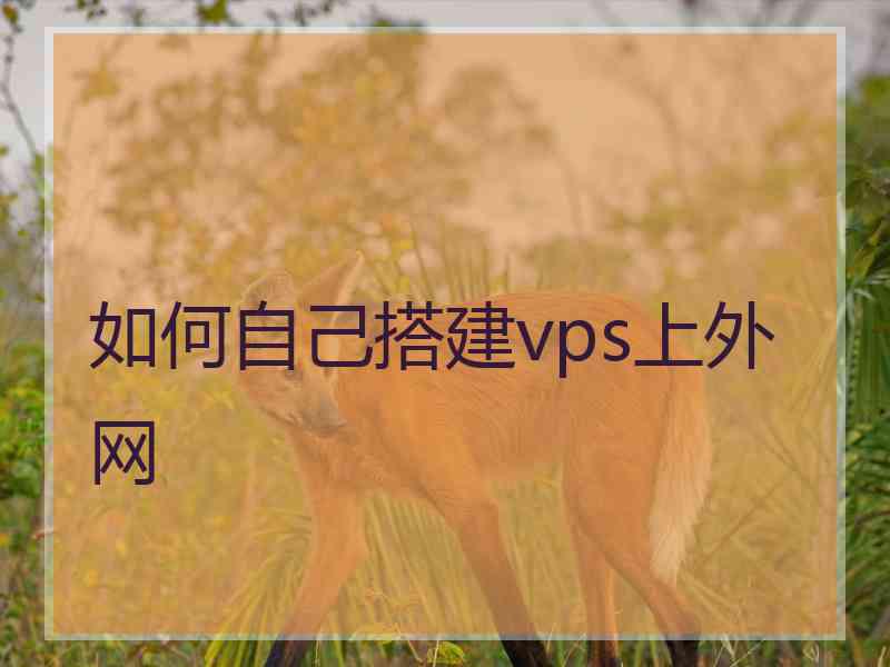 如何自己搭建vps上外网