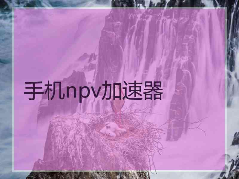 手机npv加速器