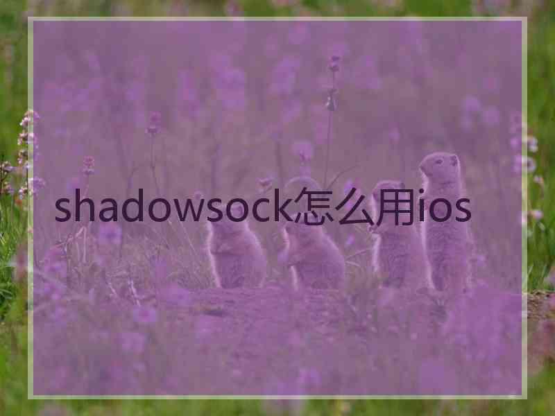 shadowsock怎么用ios