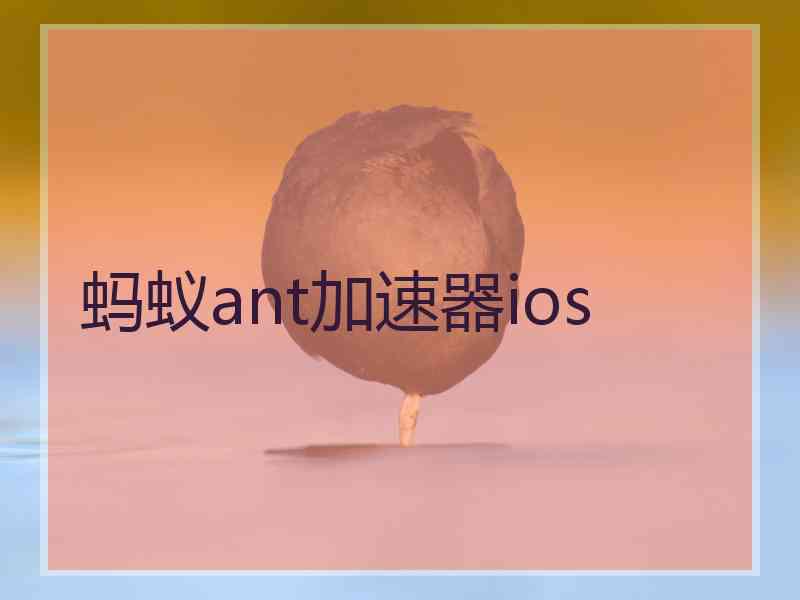 蚂蚁ant加速器ios