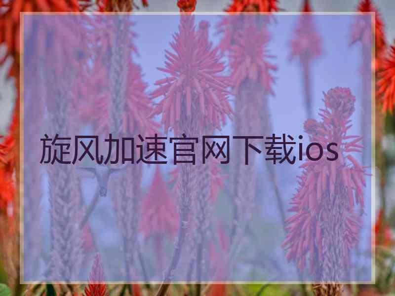 旋风加速官网下载ios