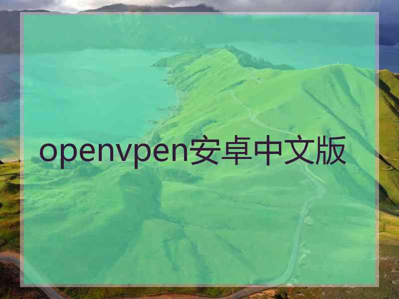 openvpen安卓中文版