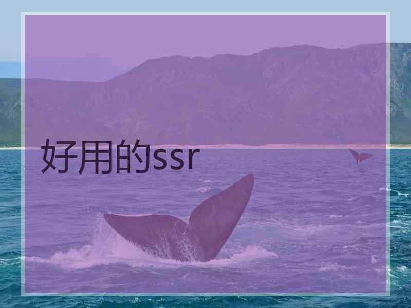 好用的ssr