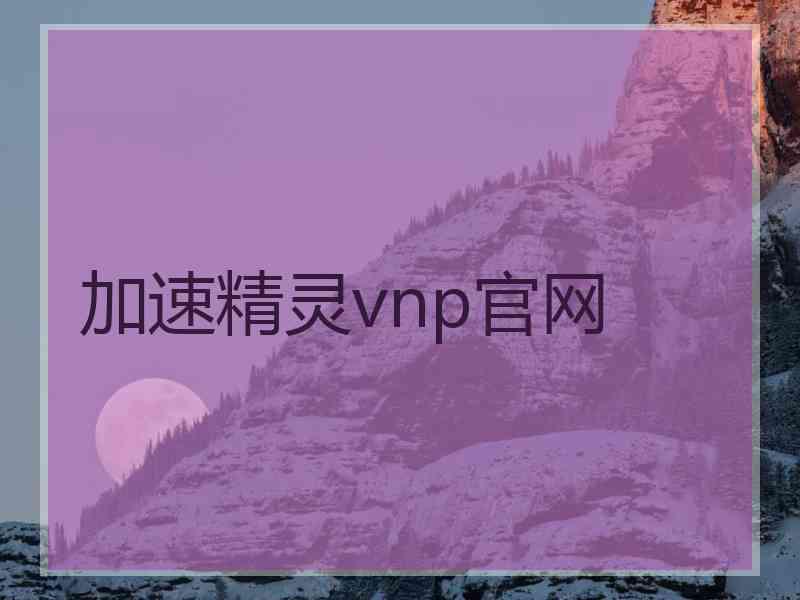 加速精灵vnp官网