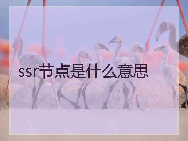 ssr节点是什么意思