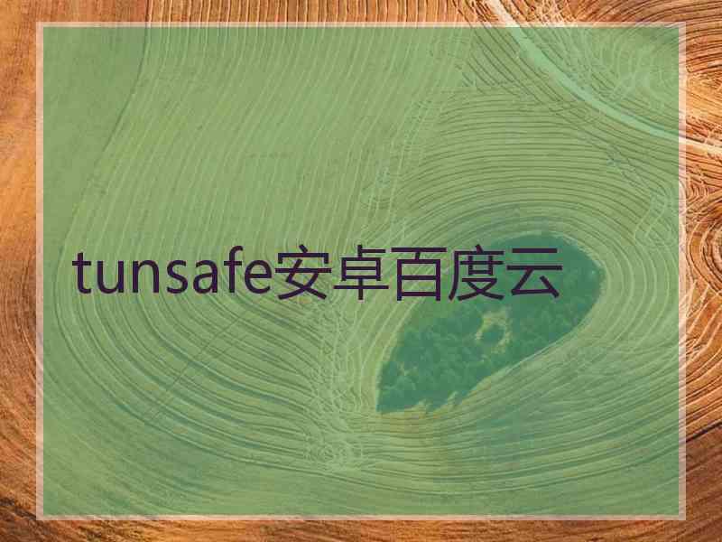 tunsafe安卓百度云