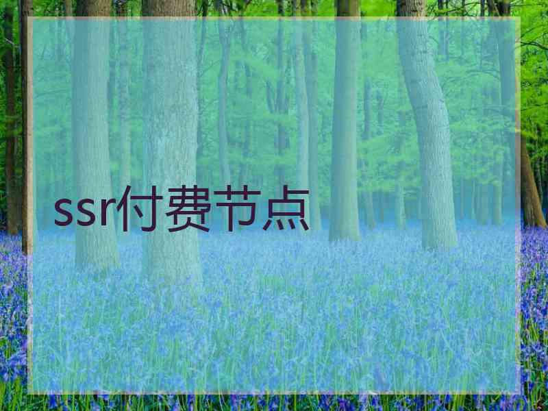 ssr付费节点