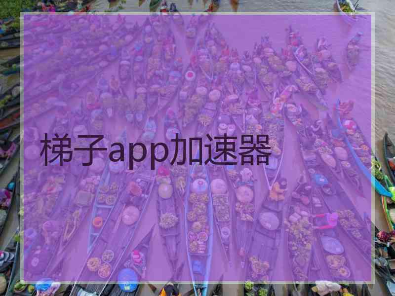 梯子app加速器