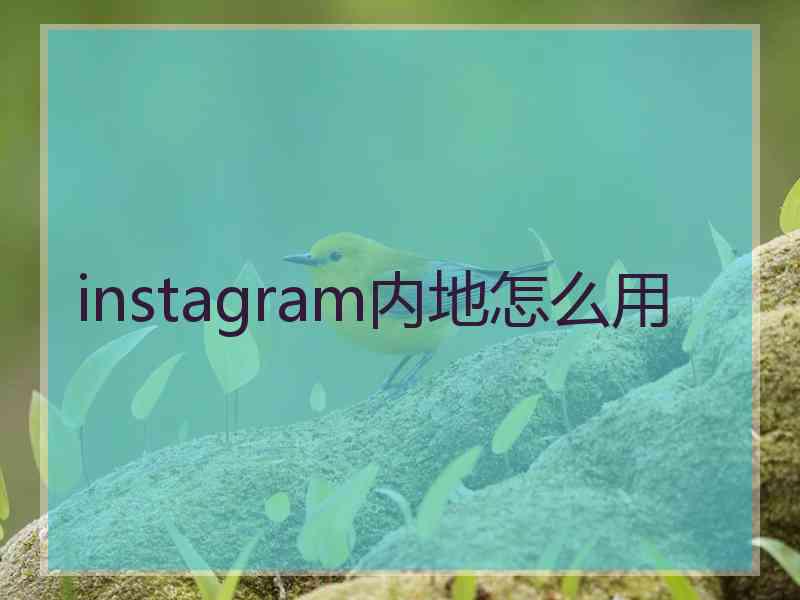 instagram内地怎么用