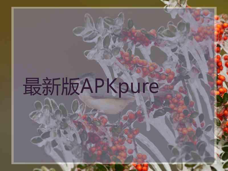 最新版APKpure