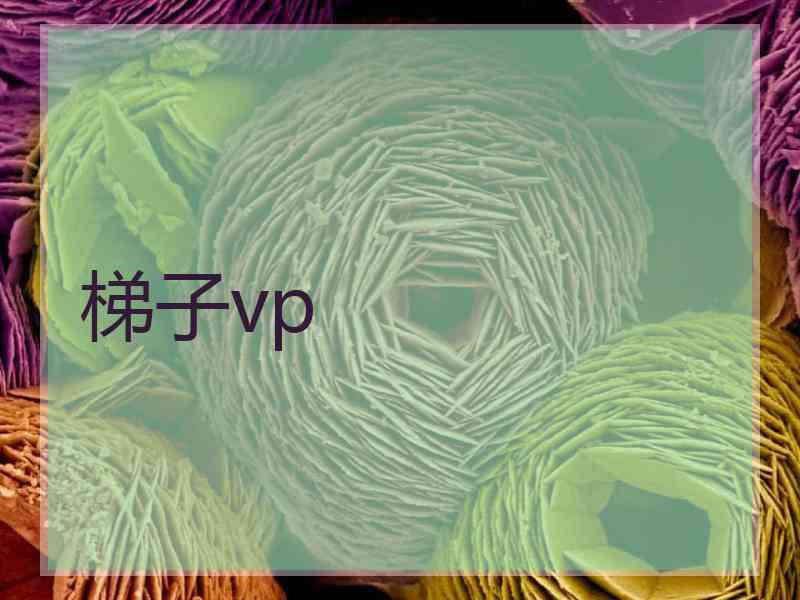 梯子vp