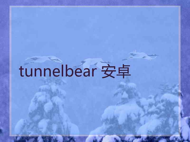 tunnelbear 安卓