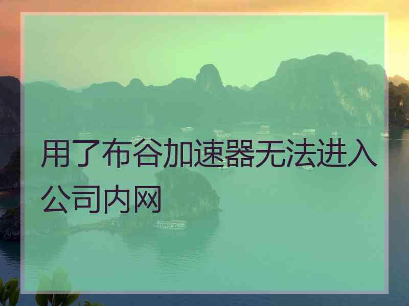 用了布谷加速器无法进入公司内网