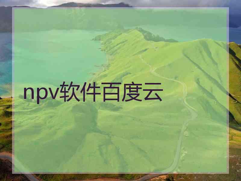 npv软件百度云