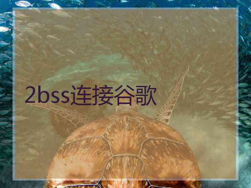 2bss连接谷歌