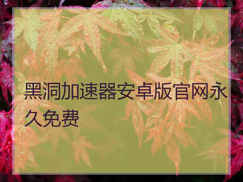 黑洞加速器安卓版官网永久免费