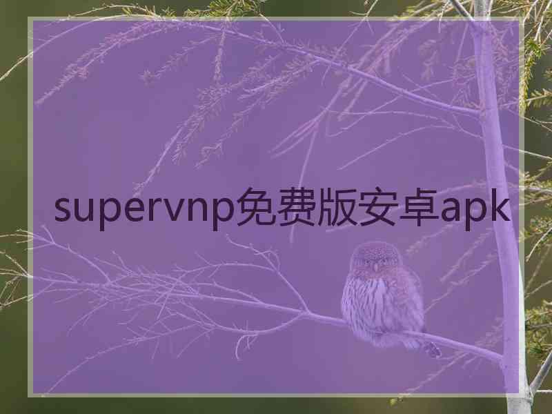 supervnp免费版安卓apk