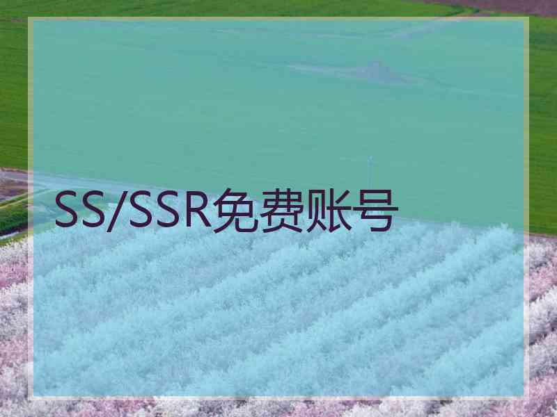 SS/SSR免费账号