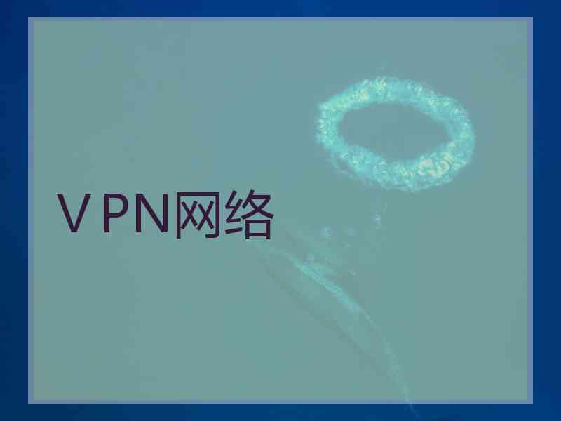 ⅤPN网络