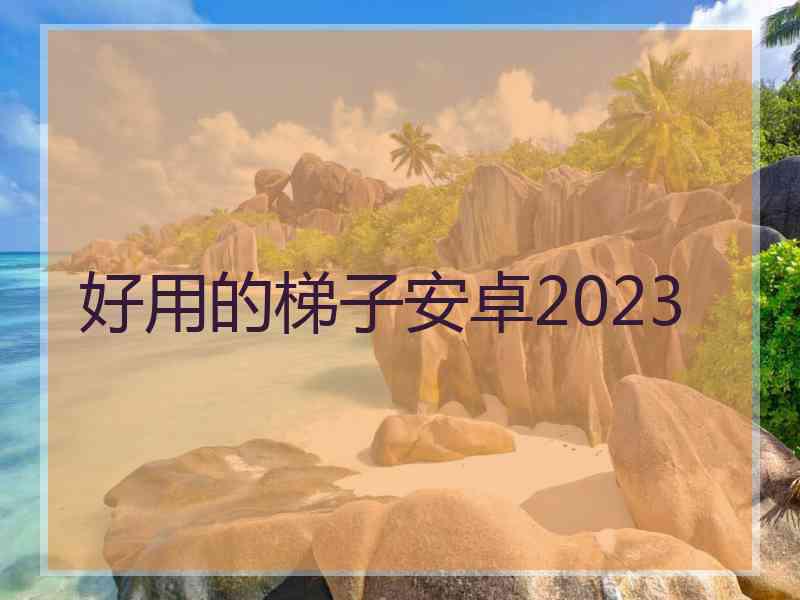 好用的梯子安卓2023