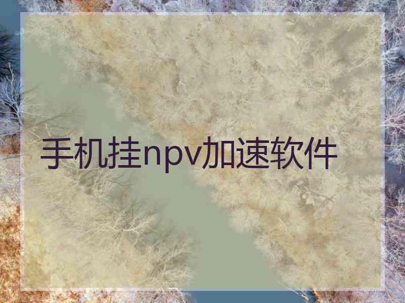 手机挂npv加速软件