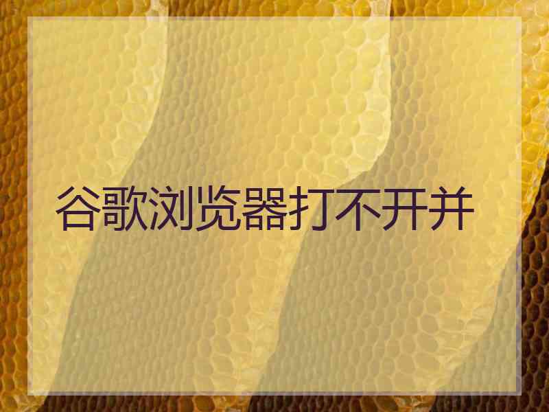 谷歌浏览器打不开并