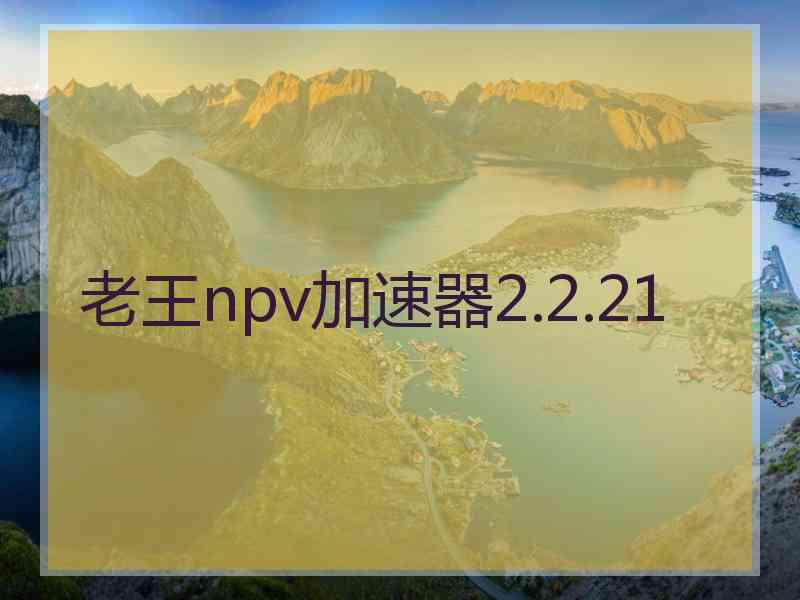 老王npv加速器2.2.21