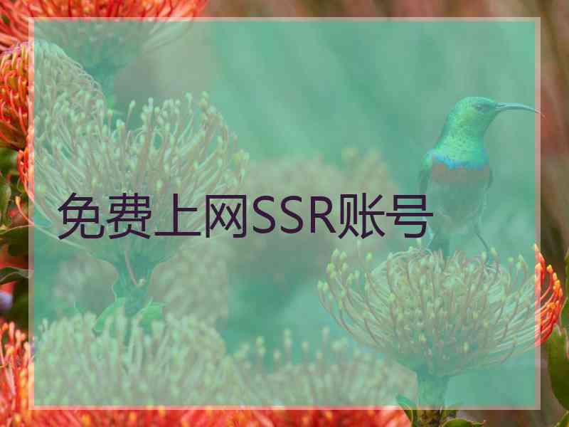 免费上网SSR账号