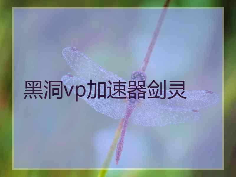 黑洞vp加速器剑灵