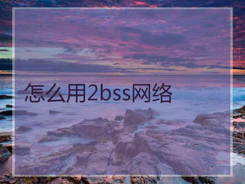 怎么用2bss网络