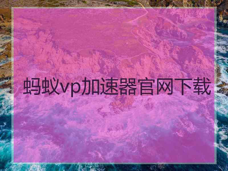 蚂蚁vp加速器官网下载