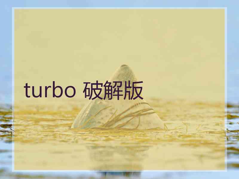 turbo 破解版