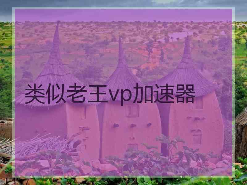 类似老王vp加速器