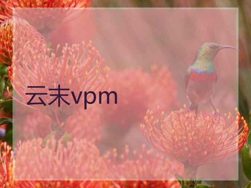 云末vpm