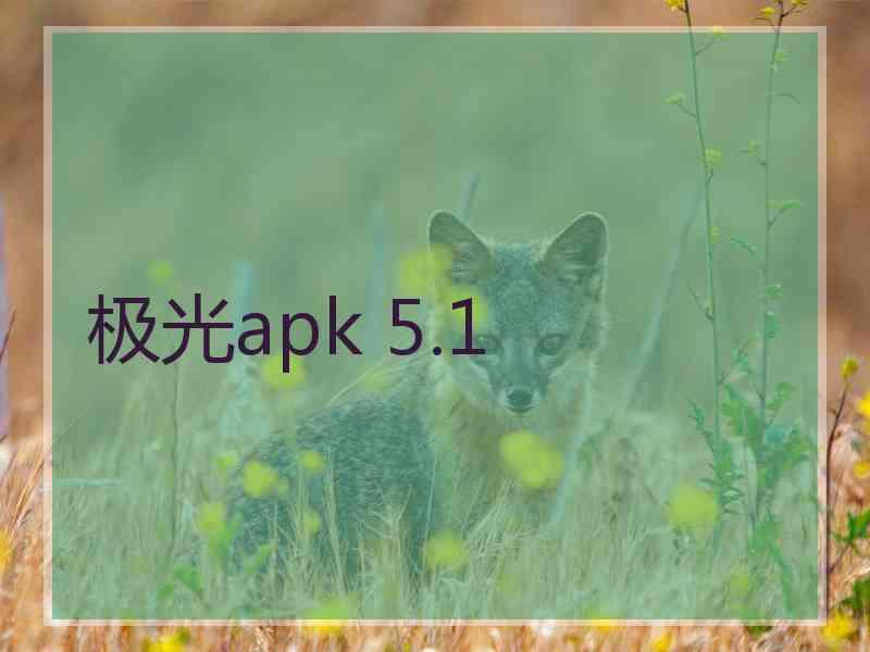 极光apk 5.1