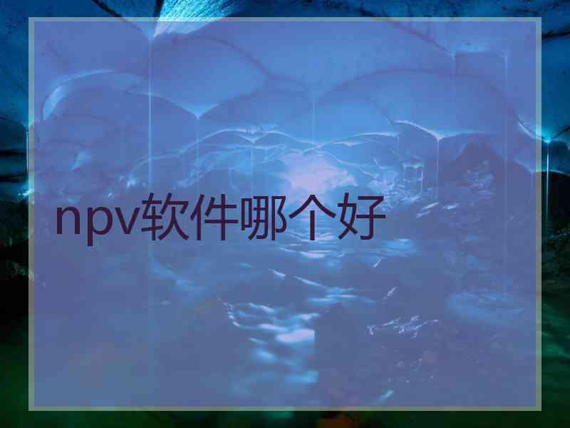 npv软件哪个好