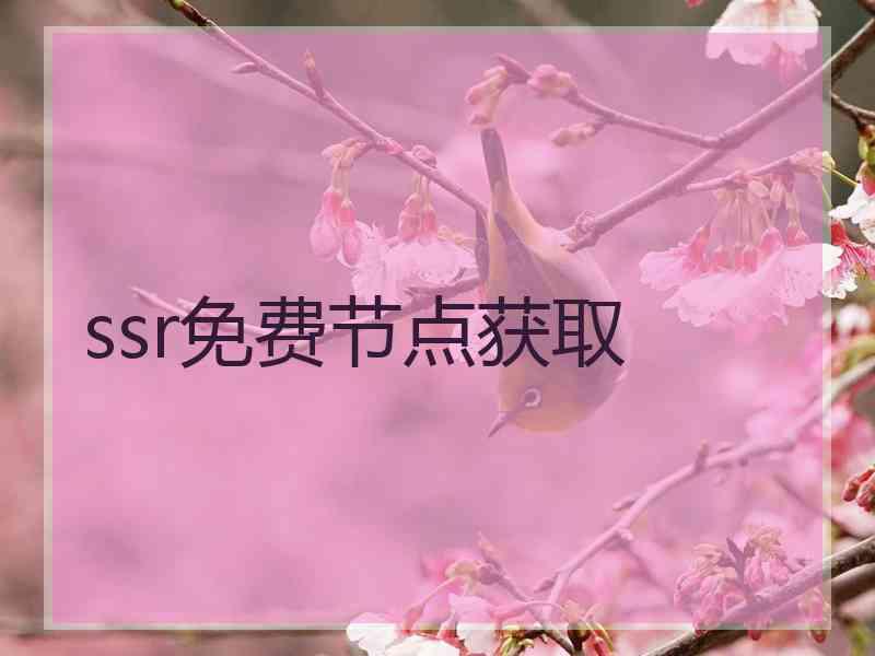 ssr免费节点获取