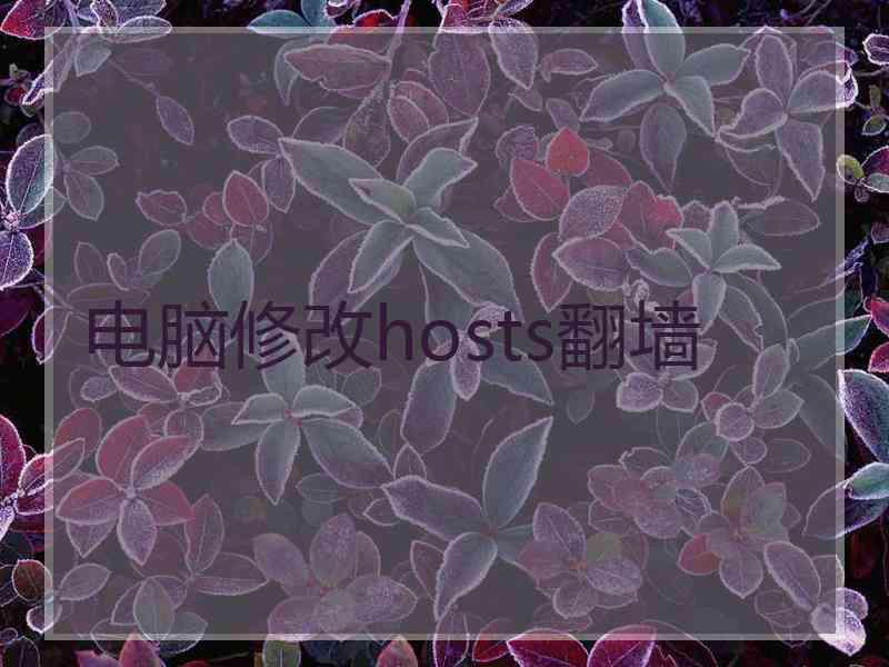 电脑修改hosts翻墙