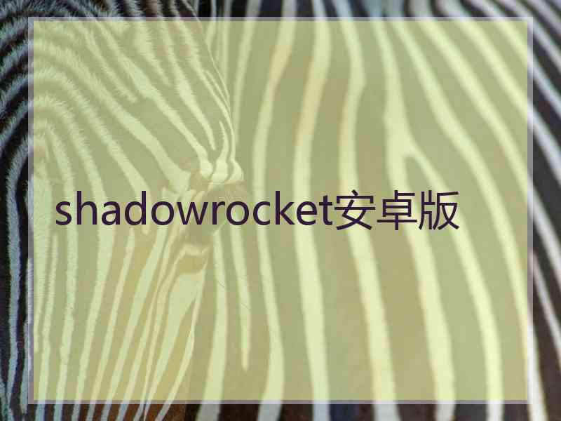 shadowrocket安卓版