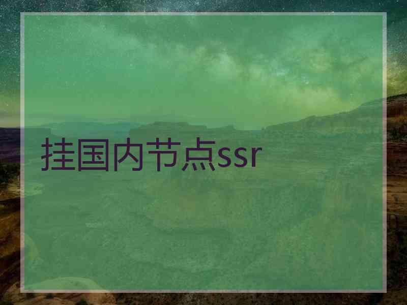 挂国内节点ssr