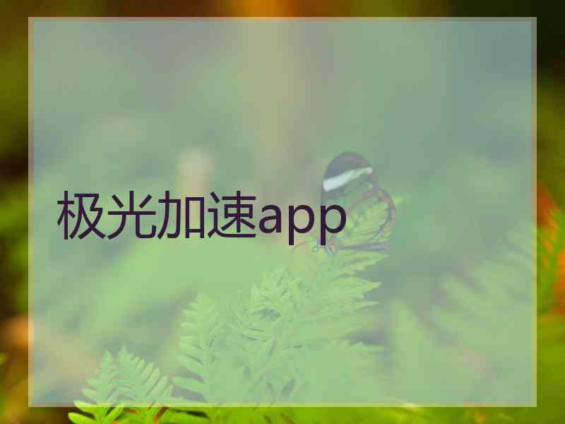 极光加速app