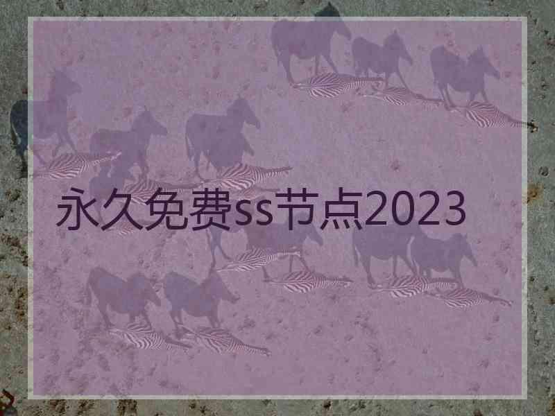 永久免费ss节点2023