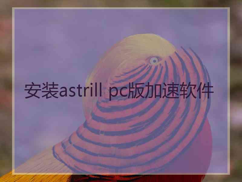 安装astrill pc版加速软件