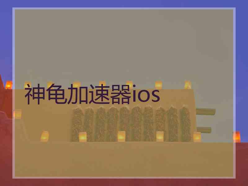 神龟加速器ios