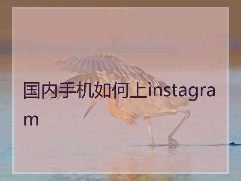 国内手机如何上instagram