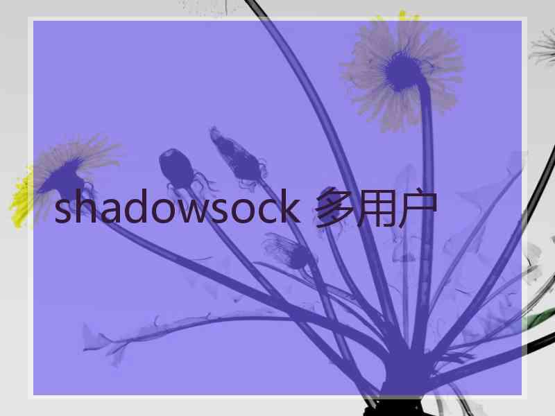 shadowsock 多用户